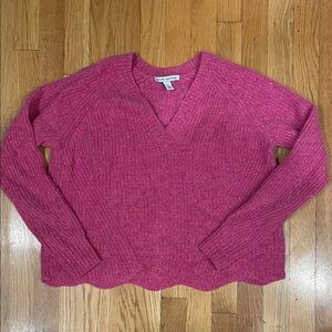 Autumn Cashmere Pink V-Neck Sweater